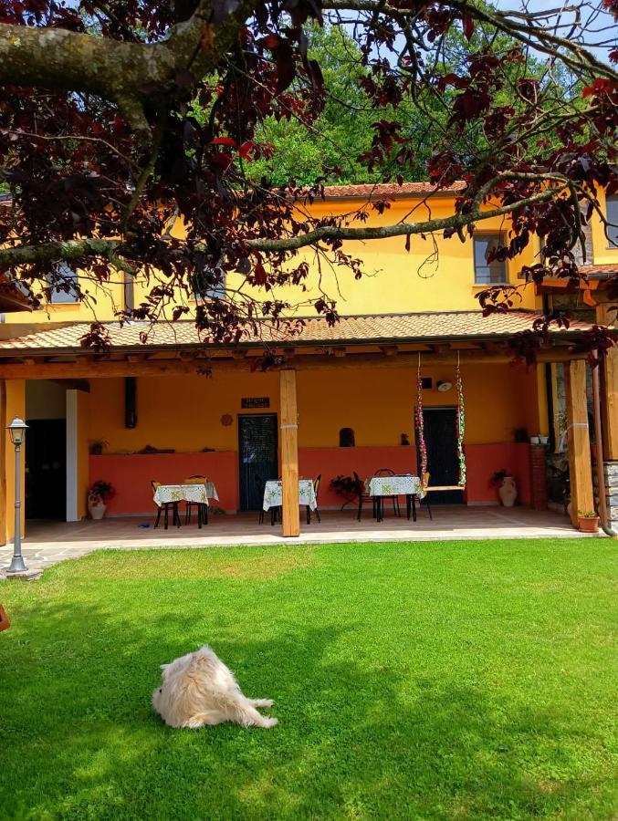 Terra Del Bosco Agriturismo Sesta Godano Exterior foto