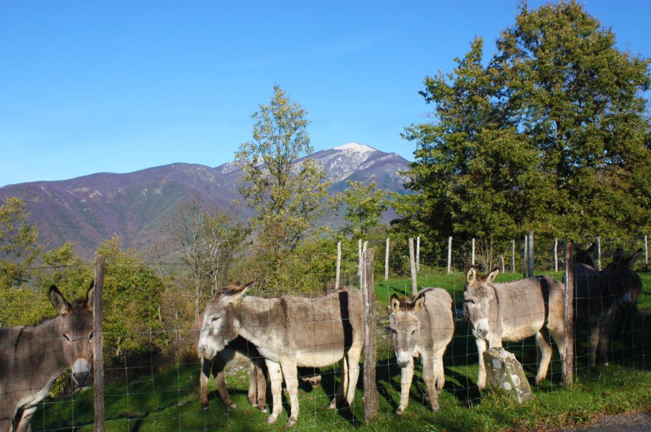 Terra Del Bosco Agriturismo Sesta Godano Exterior foto